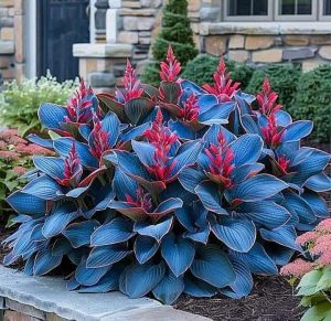 Хоста Грин Фог купить по цене от 669р. в интернет-магазине «Посадика» с доставкой почтой в в Красный Холме и по всей России – [изображение №1].