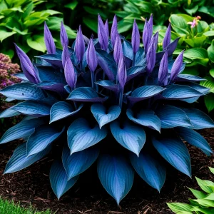 Хоста Сикрет Гров купить по цене от 570р. в интернет-магазине «Посадика» с доставкой почтой в в Красный Холме и по всей России – [изображение №1].